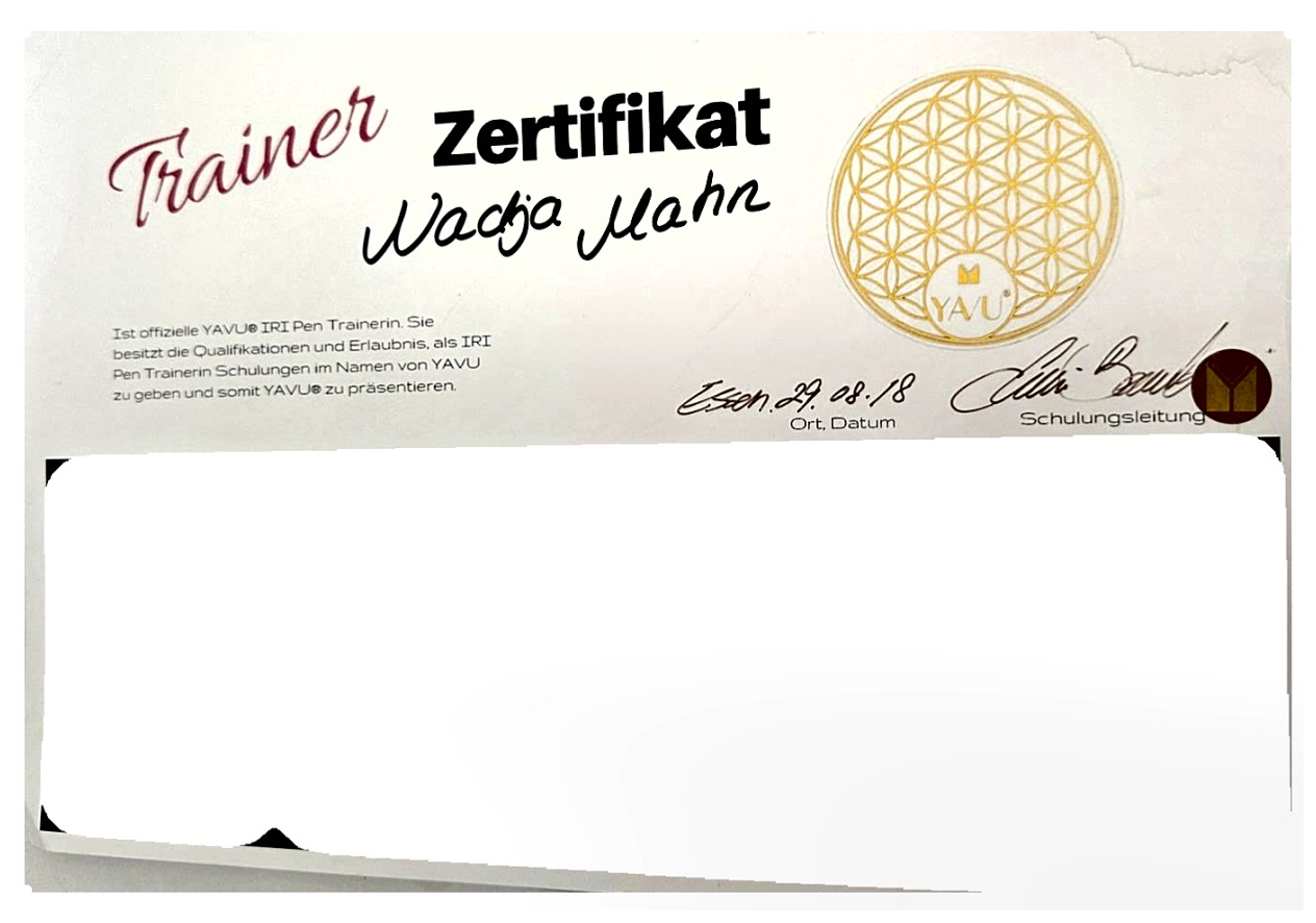 Zertifikat – IRI Pen Trainer
